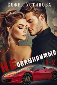 Непримиримые 1