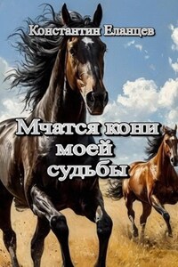 Мчатся кони моей судьбы