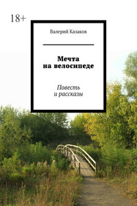 Мечта на велосипеде. Повесть и рассказы