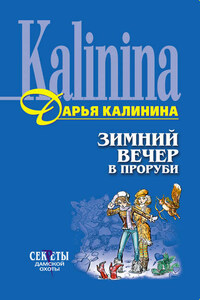Зимний вечер в проруби