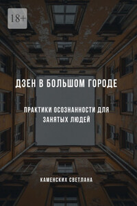 Дзен в большом городе. Практики осознанности для занятых людей