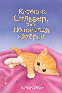 Котёнок Сильвер, или Полосатый храбрец