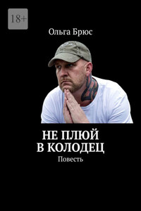 Не плюй в колодец. Повесть