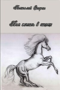 Вся жизнь в стихах