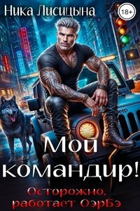 Мой командир!